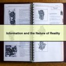Information and the Nature of Reality