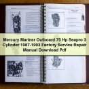 Mercury Mariner Outboard 75 Hp Seapro 3 Cylinder 1987-1993 Factory Service Repair Manual Pdf