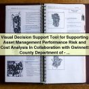 Visual Decision Support Tool for Asset Management Performance, Risk, and Cost Analysis