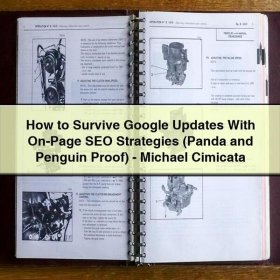 How to Survive Google Updates With On-Page SEO Strategies (Panda and Penguin Proof)-Michael Cimicata