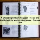 A Short Bright Flash: Augustin Fresnel and the Birth of the Modern Lighthouse-Theresa Levitt