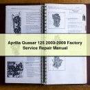 Aprilia Quasar 125 2003-2009 Factory Service Repair Manual