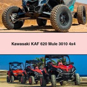Kawasaki KAF 620 Mule 3010 4x4