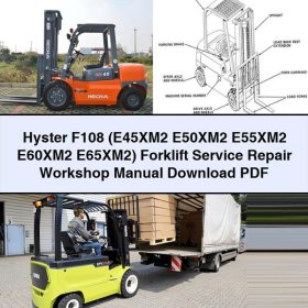 Hyster F108 (E45XM2 - E65XM2) Werkstatt Handbuch