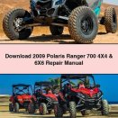 2009 Polaris Ranger 700 4X4 & 6X6 Repair Manual